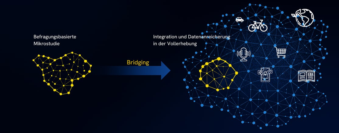 Jeder Mikrostudie ihre Vollerhebung